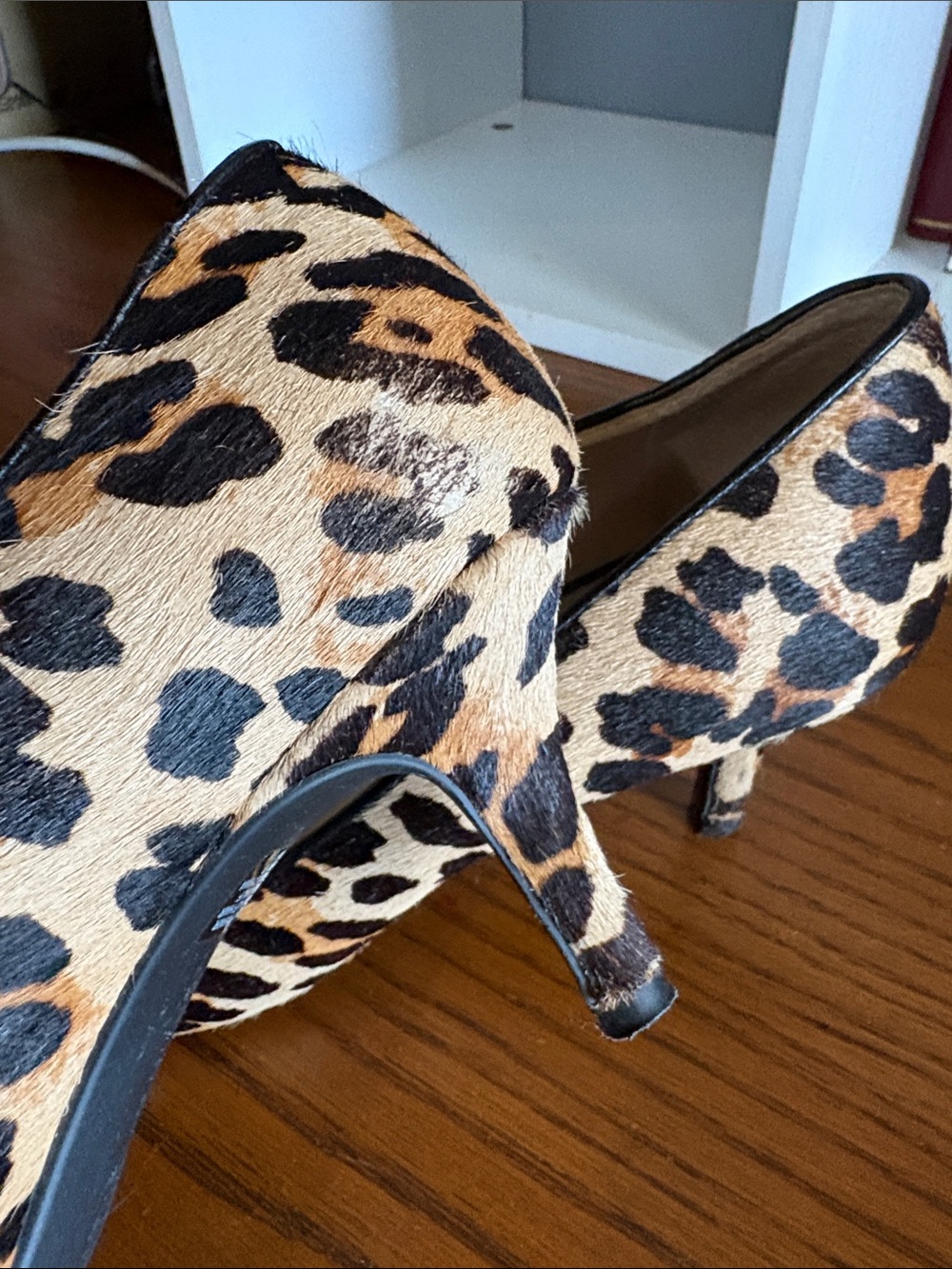 Gianni Bini Leopard-Print Pointed Toe Pumps - Brown/Black - Picture 4 of 6